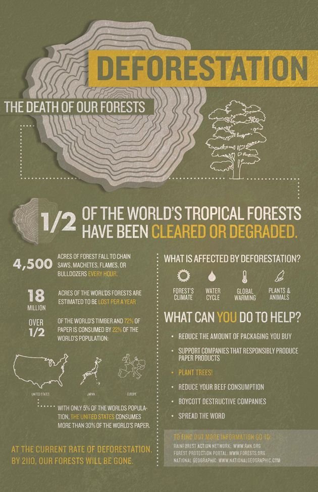 Presentations - Infographics sample 3